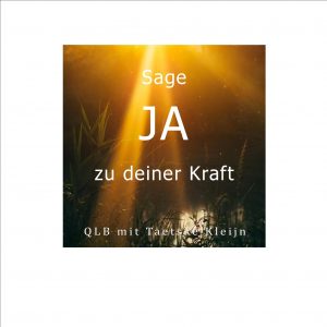 QLB Taetske Kleijn: Sage Ja zu deiner Kraft - download