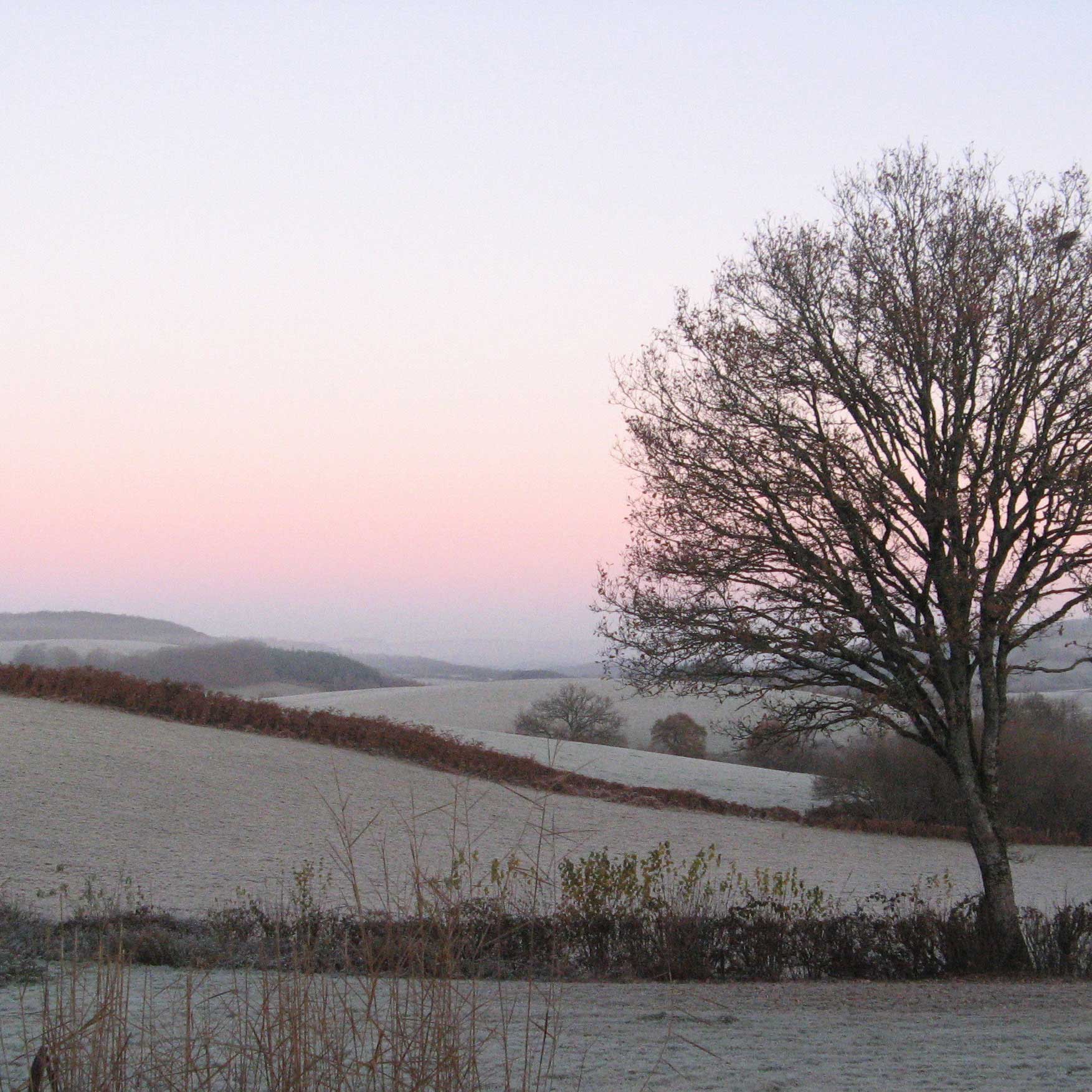 blog-block-3