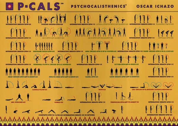 Pcals poster